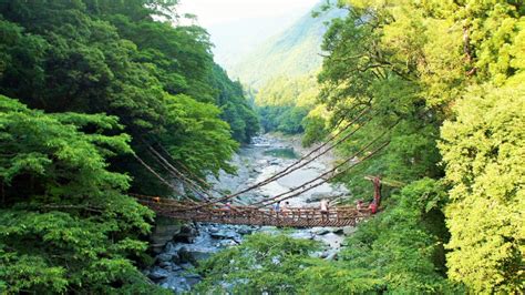 祖屋|祖谷のかずら橋 